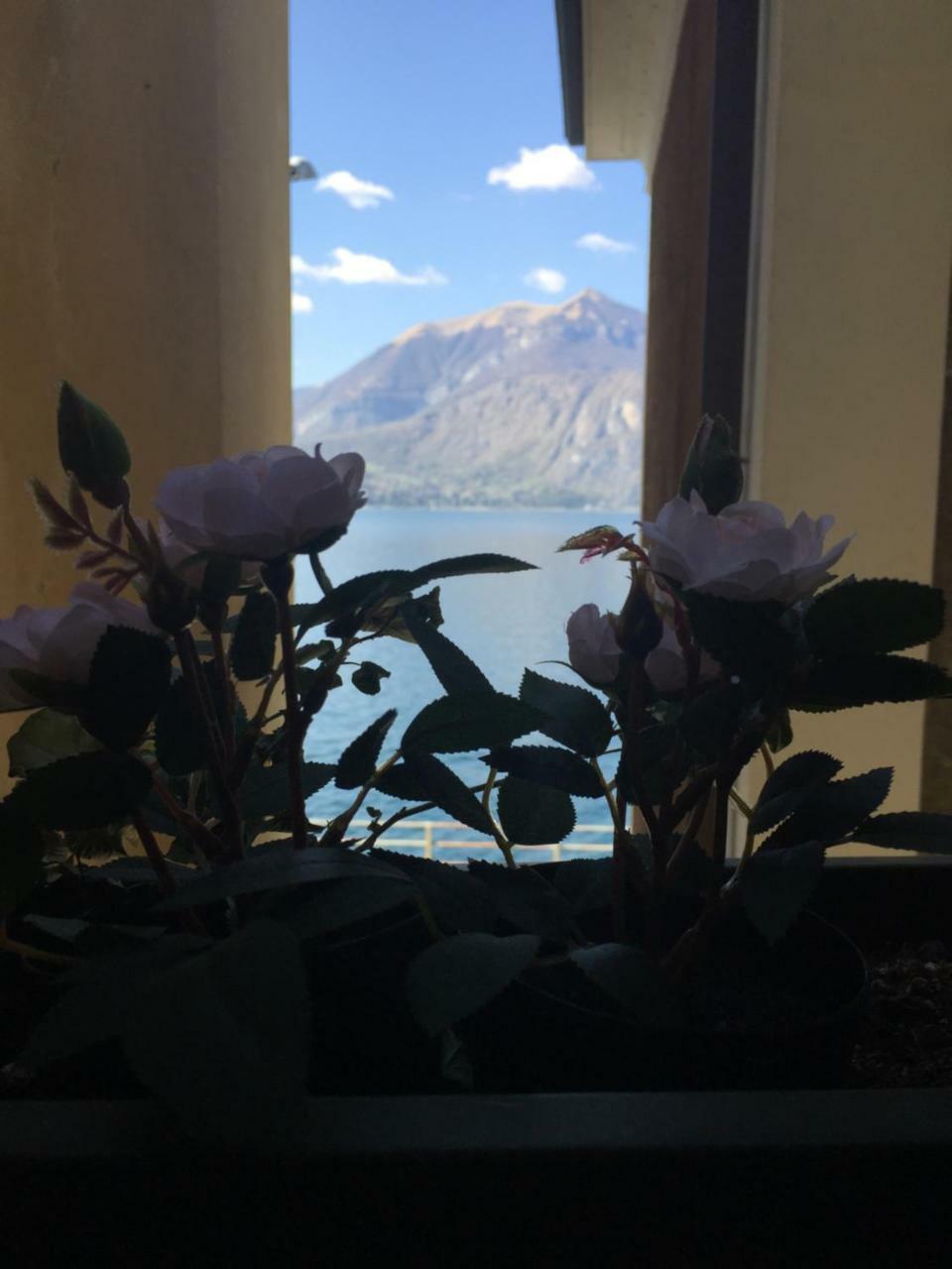 Cozy Garden Retrait Apartment Varenna Exterior foto